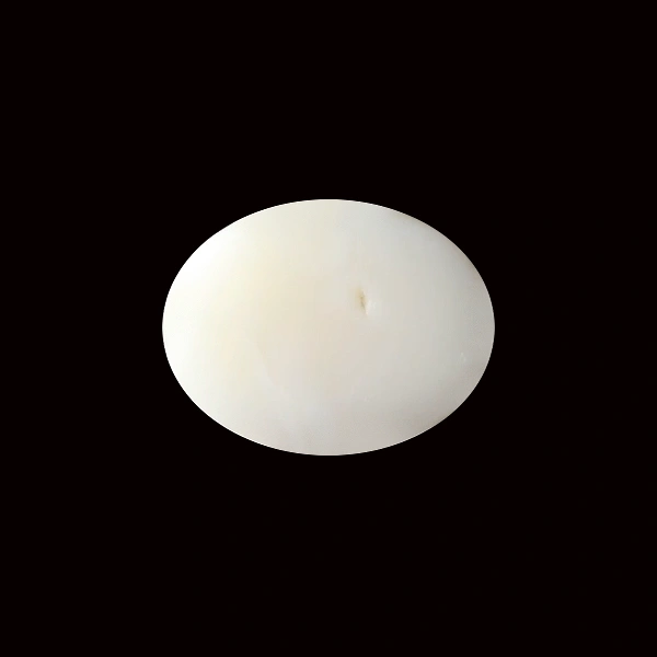 White Coral - 5.54 carats